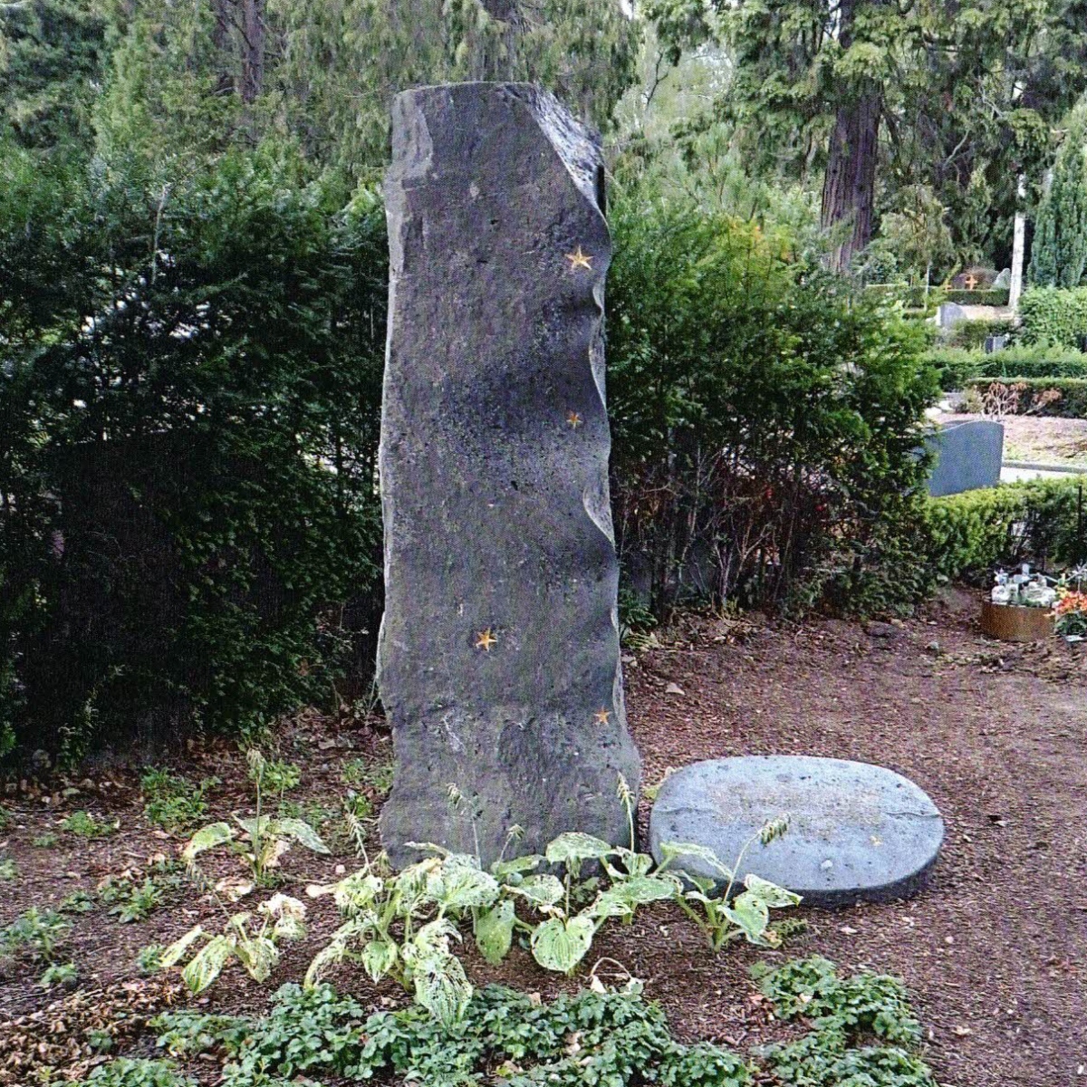 Sternenkinderfeld